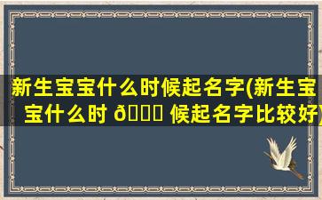 新生宝宝什么时候起名字(新生宝宝什么时 🐎 候起名字比较好)